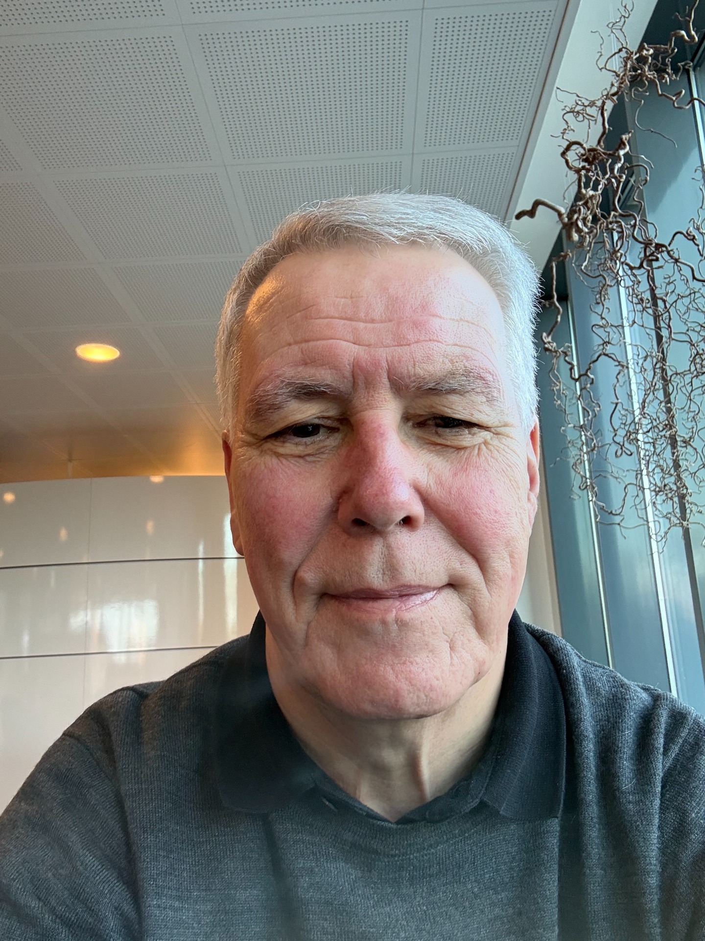 Freddie - billedet er taget 10 minutter efter øjenoperationen